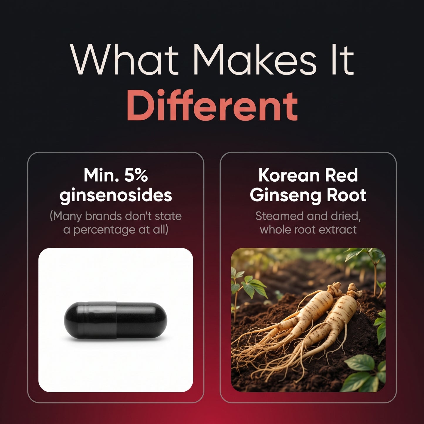 Korean Panax Ginseng